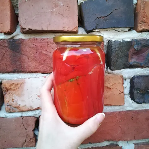 Ukiseljene paprike za zimnicu