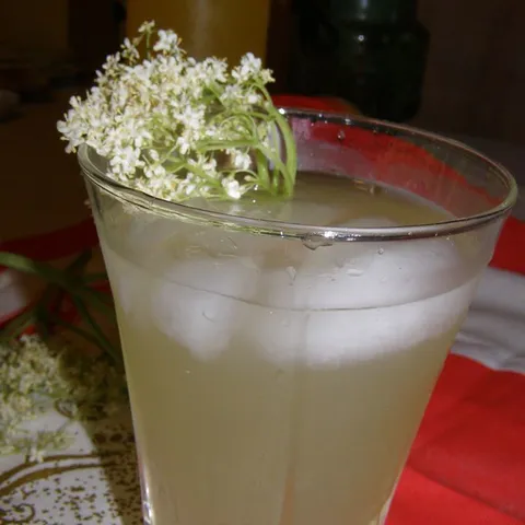 Bazga cvijet, susenje i sirup (caj i sok)