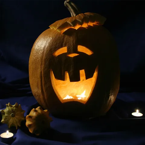 Halloween bundeve