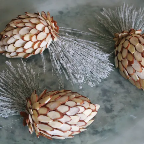 Sisarke
