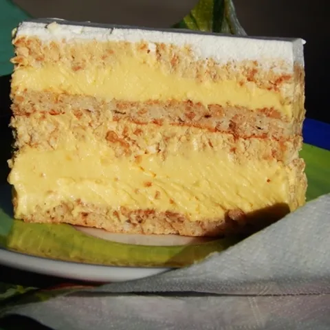 Mliječna plazma torta