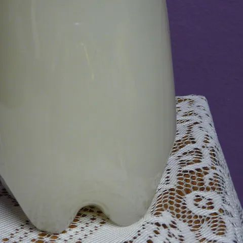 DOMAĆA ŠTIRKA