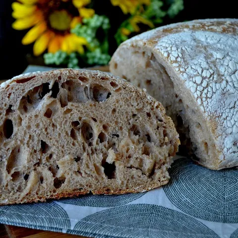 Sourdough #1