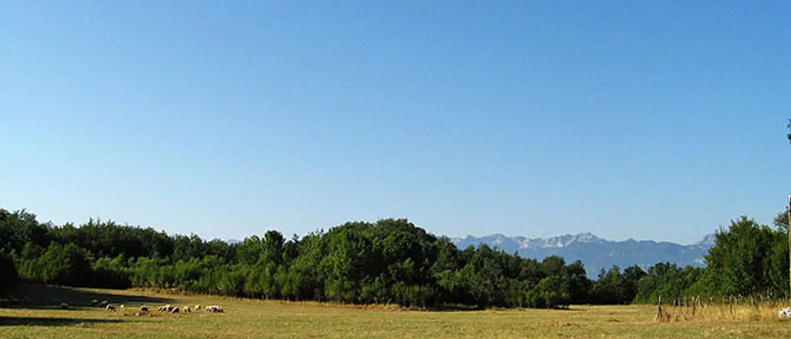Pozdrav Liko